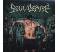 Acts of Hate By Soul Demise (2009-04-17)