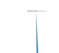 ACTUAL AIR by David Berman Paperback Self Help Business