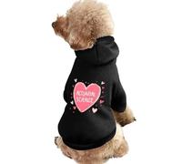 Actuarial Science Heart Dog And Cat Clothes Pet Hoodie Sweatshirt Pullover Soft Coat