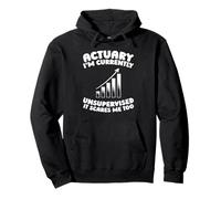 Actuary Insurance - Risk Statistics Actuary Pullover Hoodie