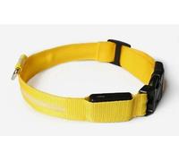 Acu Store LED Light-Up Dog Collar - USB Rechargeable, Waterproof, Adjustable Safety Collar with 3 Lighting Modes for Small, Medium, Large & XL Dogs (Yellow, Small)