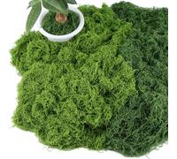 Acual Artificial Moss 200g, Artificial Fake Green Lichen Plants,Fake Moss for Home, Garden,Landscaping, Floristry,Model Making,Arts and Crafts(Dark Green 100g+Light Green 100g)