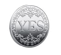 Acunny Challenge Coin - Challenge for the Coin Collection Challenge Coin Yes No Coin Yes No Challenge Coin Decision Coin Commemorative Coin Choice