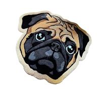 Acunny Outdoor Entrance Mat for Dogs, Welcome Mat for Dogs - Kitchen Mat for Puppies, Non-Slip Door Mat for Animals, Door Mat for Dogs, Puppies, Welcome to