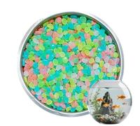 Acunny Stones 500 Pieces for Landscape | DIY Glow In The Dark Colors For Garden Fish Tanks, Aquariums, Crafts, Gardens And Ponds