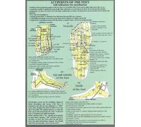 Acupoints of the Feet