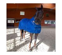 Acupressure mat for the back Accuhorsemat