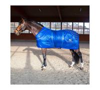 Acupressure mat for the back Accuhorsemat Original