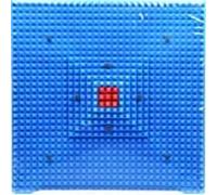 Acupro Health Care System Accupressure Mat