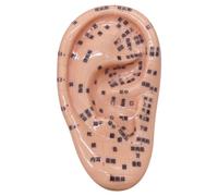 Acupuncture Ear Seeds Kit Soft Ear Seeding Including 5.1 Inch Model Picture Educational for Kids Learning Plastic Seed Stickers