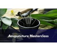 Acupuncture Masterclass