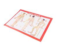 Acupuncture Meridian Poster Acupuncture Human Body Figure Practical FigureDurability