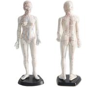 Acupuncture Model, 48cm Female Doll with Detailed Meridian & 361 Pressure Points, Clear Engraved Markings, PVC Training Model for Acupuncture & Massage