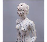 Acupuncture Model - Female Acupuncture Model of Human Body with Meridian Points - 48Cm Human Meridian Model Acupuncture Acupoint - for Meridian Massage Teaching