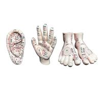 Acupuncture Model Foot, Acupuncture Hand Model, Auricular Acupuncture Model, Meridian Points, 3 Pcs Chinese Human Medicine Massage for Education Help for Training