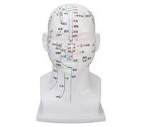 Acupuncture Point Head Model PVC White Face Massage Meridians Head Model Teaching Props 11.8 Inch Professional Acupuncture Training Tool for Massage Shops and Physiotherapy Salons
