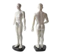 Acupuncture Point Model - 50 cm Human Body Diagram with Engraved English Code for Meridian Massage and Needle Map, Soft Material, Ivory