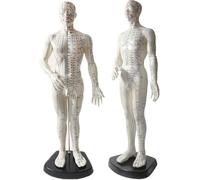 Acupuncture Point Model - 50 cm Human Body Diagram with Engraved English Code for Meridian Massage and Needle Map, Soft Material, Ivory (man)