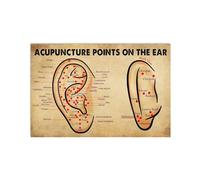 Acupuncture Points On The Ear Retro Metal Tin Sign 8X12 Inches