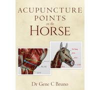 Acupuncture Points on the Horse