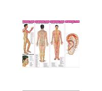AcuRite Acupuncture points chart set of 4, paper back, language english, wall chart