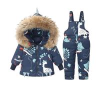Acuryx Toddler Boys Girls Snowsuit 2 Pieces Winter Dinosaur Print Zipper Hooded Puffer Jacket and Snow Overalls Set Blue 2-3 Years Old