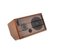 Acus Sound Engineering 01000505 BANDMATE 100 Stage Monitor - Wood