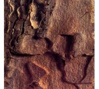 Acustic - Acustic Vol.1
