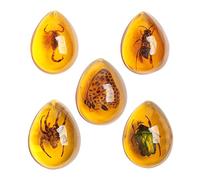 Acxico 5pcs Amber Fossil with Insects Samples Stones Crystal Specimens Home Decorations Collection Oval Pendant (Green Armor + Scorpion + Flower Butterfly + Wasp + Spider)