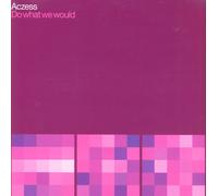 Aczess - Do What We Would [VINYL]
