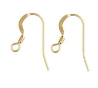 Adabele 10pcs Real 1/20 14K Gold Filled Flat Fish Earring Hooks 19mm Dangle Ear Wire (Wire 0.6mm/22 Gauge) for Earrings Jewelry Making JK1-L6