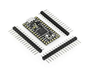 Adafruit ItsyBitsy M0 Express Onboard ATSAMD21 Cortex M0 I2C SPI 23 GPIO Serial with 2MB of SPI Flash for Data Logging File Storage Use for CircuitPython & Arduino IDE 48 MHz 3.3V Logic 3727
