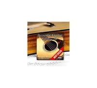Adagio Professional Acoustic Guitar Strings Full Set / Pack - Gauge 10-47 Phosphor Bronze