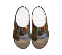 ADAhgu Italian Old Street Print Adult TPR Slippers Washable for Men and Women Breathable and Cozy Winter shoes