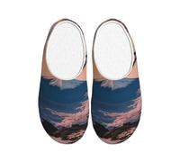 ADAhgu Japan Mount Fuji Landscape Print Adult TPR Slippers Washable for Men and Women Breathable and Cozy Winter shoes