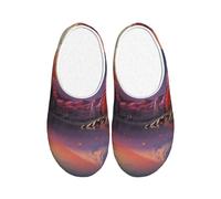 ADAhgu Japan Mount Fuji Landscape Print Adult TPR Slippers Washable for Men and Women Breathable and Cozy Winter shoes