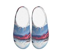 ADAhgu Japan Mount Fuji Landscape Print Adult TPR Slippers Washable for Men and Women Breathable and Cozy Winter shoes