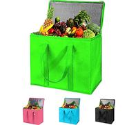 Adalex Global 26L Cool Bag Cooler Bag and Cooler Box, Insulated Food Delivery for Uber Eats, Thermal for Hot and Frozen Food, Picnic and Grocery Delivery, Freezer Shopping (22x30x40cm 26l Green, XL)