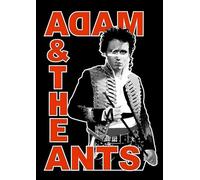 Adam And The Ants A3 Print Poster Wall Art Home Decor Album Gift Present Photo Living Room Dining Room Bedroom Unframed Concert Tour Gig Live Show Music Arena Stadium