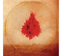 Adam Arcuragi - Like a Fire That Consumes All Before It [VINYL]