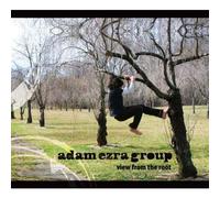 Adam Ezra Group - View from the Root