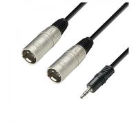 Adam Hall 3 STAR Balanced 3.5mm TRS Mini Jack to Twin XLR (M) Splitter Cable 3m