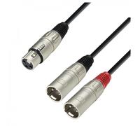 Adam Hall 3 STAR XLR (F) to Twin XLR (M) Splitter Cable 1m