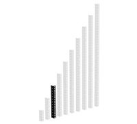 Adam Hall Mounting rail 6 HE (Pack of 1)