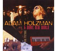 Adam Holzman & Brave New World - Big Picture