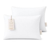 Adam Home Cooling Pillows, Cool Touch Fabric, Crushed Memory Foam Filled, Soft & Supportive Bed Pillows for Comfortable Sleep, Pack of 2