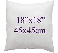 Adam Icon Hollowfibre Filled Cushion Inserts - Decorative Square Cushion Pad for Sofa, Chair, Bed - Pack of 2 (, 18x18 inch / 45x45cm)