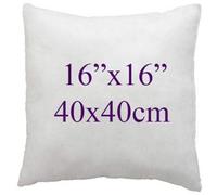 Adam Icon Hollowfibre Filled Cushion Inserts - Decorative Square Cushion Pad for Sofa, Chair, Bed - Pack of 2 (, 16x16 inch / 40x40cm)
