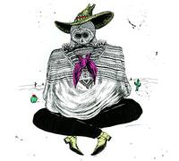 Adam Levy - Naubinway [VINYL]