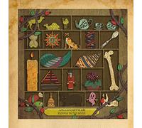 Adam Ostrar - Brawls in the Briar